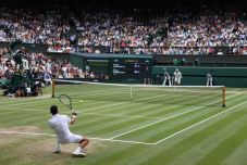 Ismét Djokovics Wimbledon bajnoka