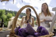 Hatóanyagok, praktikák, illatok – a Székelyföldi Gyógynövénynapon jártunk