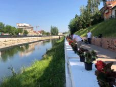 Szépítik a váradi Körös-partot, de a virágok egy részét rendszeresen ellopják vagy elpusztítják