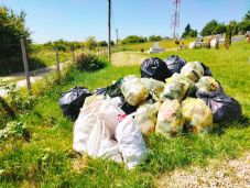 Nagyvárad kivételével mind a száz vidéki önkormányzat benevezett a Bihar megyei tisztasági bajnokságra