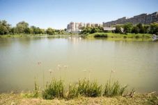 Kezdődik az állomás környéki tó rendbetétele Sepsiszentgyörgyön