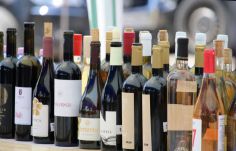 Szilágysági borászok összefogtak, és új, minőségi termékekkel lépnek piacra