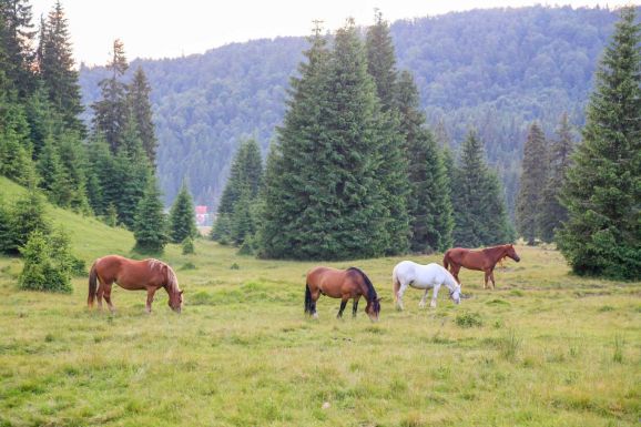Összefog három megye az Erdélyi-szigethegység turizmusának fejlesztéséért