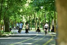 Kormánydöntés: ezek az újabb lazítások lépnek hatályba július elsejétől