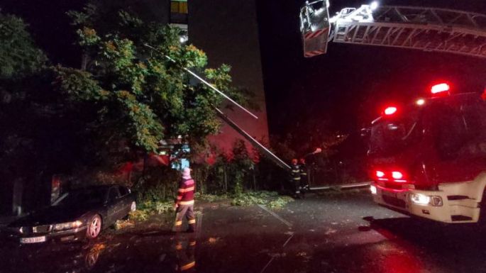 Fákat döntött ki, háztetőket rongált meg a vihar Aradon