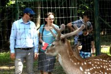 Erdély legjei – Maros megye: a Marosvásárhelyi Állatkert (VIDEÓ)