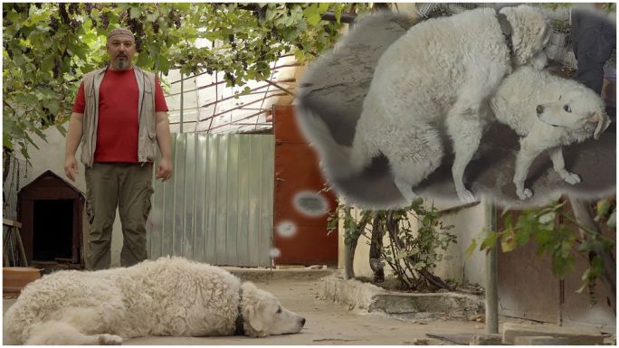 Kolozsvári rendező magyar-román koprodukcióban készülő politikai esszéfilmjéről cikkez a Variety