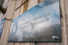 Erdősítést és energiahatékonyság-javítást támogatna a Környezetvédelmi Alap