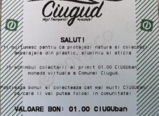 Helyi fizetőeszközt bocsát ki egy erdélyi falu 