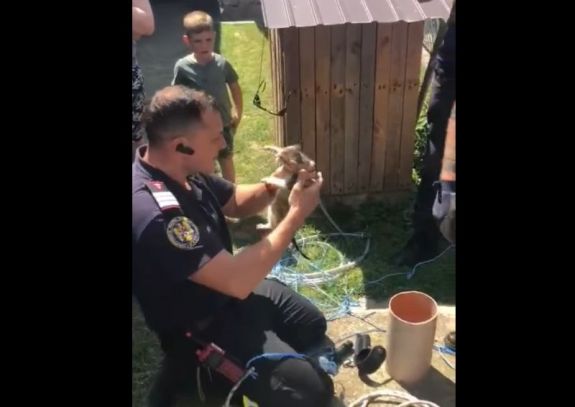 Így mentették meg a tűzoltók a tíz méter mély kútba esett kismacskát