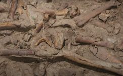 Kilenc neandervölgyi ember maradványaira bukkantak Olaszországban