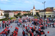 Segítség mindenkinek: a járvány idején sem állt meg az élet a HIFA-Romániánál