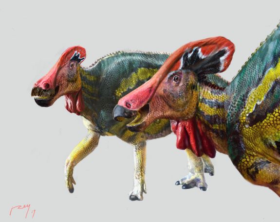 Eddig sosem látott dinoszauruszt azonosítottak Mexikóban