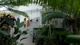 Erdély legjei – Kolozs megye: a kolozsvári botanikus kert