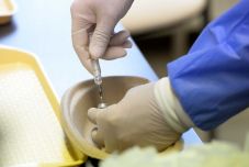 Jó hírt kapott a Pfizer: vakcinái normál hűtőszekrényben is tárolhatók