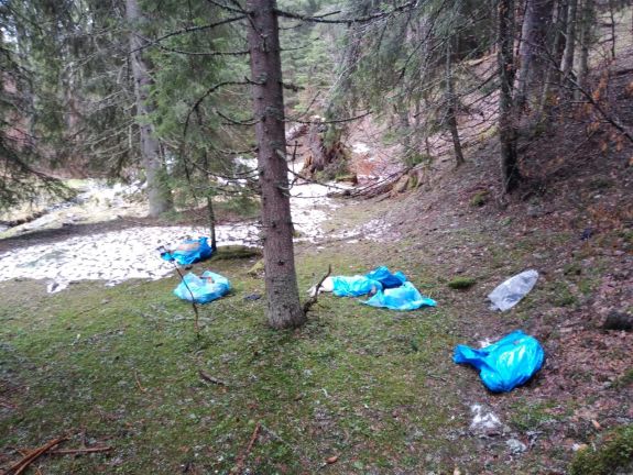 Több tucat kutya tetemére bukkantak a Retyezát Nemzeti Parkban