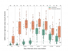 Sepsiszentgyörgyi kutatás: tartósabban védettek, akik a fertőzés után kaptak védőoltást