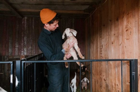 A kecske nem buta, nem is a szegény ember tehene – kamaszként alapította gazdaságát a csíkszeredai fiatalember