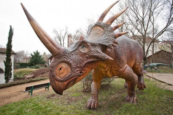 Száz éve elfeledett dinoszaurusz-lelőhelyeket fedeztek fel újra magyar kutatók Erdélyben