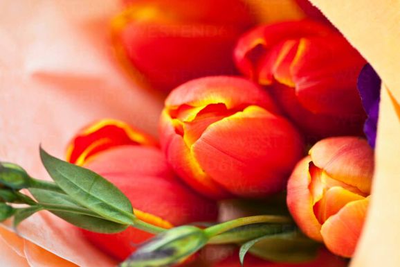 „Nem nőnap alkalmából kaptam a virágot, hanem azért, mert tegnap ismét megvert”