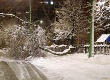 Rég nem látott mennyiségű hó hullott Brassóban: fák dőltek ki, házak és vezetékek rongálódtak meg
