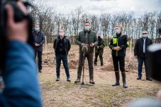 Újabb erdősítési kampány indult az országban