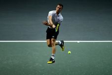 Fucsovics Márton elvesztette a rotterdami tenisztorna döntőjét