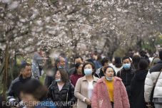 Kiszivárgott WHO-jelentés: valószínűtlen, hogy a vírus egy laboratóriumból szabadult el