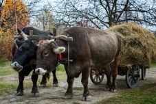 Fenntartható turizmus: Románia nem a világelit része, de nincs nagyon lemaradva