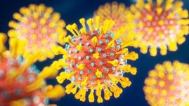 Felbukkant Romániában a koronavírus brazil variánsa is