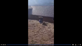 Ököllel ütötte és rugdosta a tinédzsert a futballedző Kapnikbányán, mert másik csapatnak szurkol