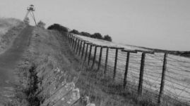 A megölt vagy megkínzott személyekről gyűjt adatokat a kommunizmus bűneit vizsgáló intézet