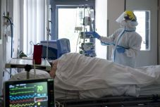 Egyelőre kordában tartják a járványt Szilágy megyében, de gondot jelent az altatóorvos-hiány 