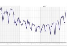 Koronavírus: idei csúcson a halottak száma Magyarországon