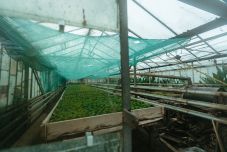 Új intézmény felelős a marosvásárhelyi köztisztaságért: havi 600 ezer lejes megtakarítással számolnak