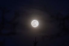 NASA: a szuperhold is segített a Szuezi csatorna felszabadításában