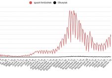 Több mint 4500 új eset van, idei csúcson a súlyos betegek száma