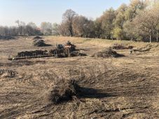 Kitakarították a sepsiszentgyörgyi állomási tavat és kisajátítanák a közepén lévő szigetet