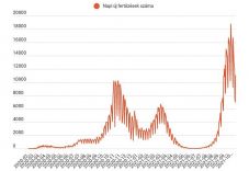 FRISSÍTVE: Halottak napján a legszomorúbb a statisztika: közel 600 elhunytat jelentettek