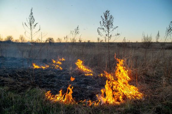 A tarlóégetés nem megoldás, hanem életveszély: minél gyakrabban éget, annál gyengébb lesz a termőföld