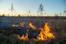 A tarlóégetés nem megoldás, hanem életveszély: minél gyakrabban éget, annál gyengébb lesz a termőföld