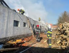 Nagy erőkkel oltották a tüzet egy fafeldolgozó műhelynél a Hargita megyei Fenyéden