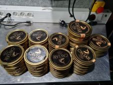 Öt kiló halikrát kobozott el a NAV egy román busz utasától