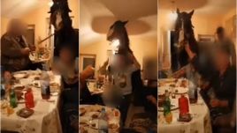 Nem elég, hogy tiltott partit szerveztek, de még a lovat is behívták a buliba