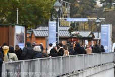 Ausztriában a beoltottak számára is éjszakai kijárási tilalmat vezetnének be