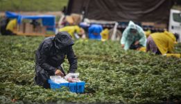 Tavaly a vendégmunkások voltak a „legnagyobb befektetők” Romániában a hazautalt pénzekkel