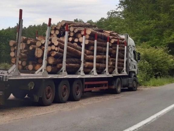 Az USR szerint a PSD, a PNL és az RMDSZ elgáncsolta a fatolvajok elleni törvénytervezetet - az RMDSZ pontosított