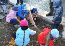 Fákat ültettek és halakat telepítettek Szovátán