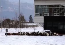 Már több halottja van a rekordméretű árvíznek Kanadában