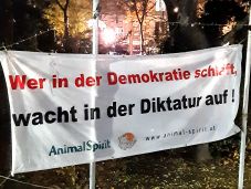 „Aki a demokráciában alszik...”